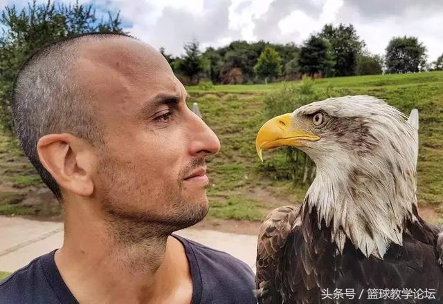 梦之队神秘球员能力分析，他会是关键先生吗？