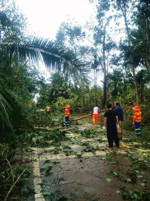 台风乌鸦有多强？对哪些地方影响最大？这份指南请收好