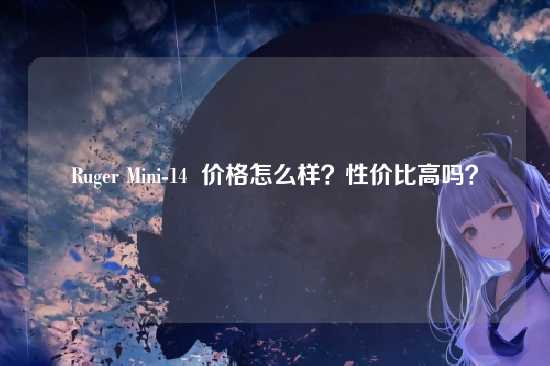 Ruger Mini-14  价格怎么样？性价比高吗？