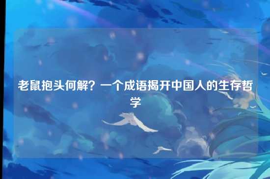 老鼠抱头何解?一个成语揭开中国人的生存哲学