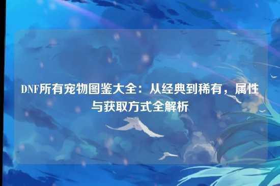 DNF所有宠物图鉴大全：从经典到稀有，属性与获取方式全解析